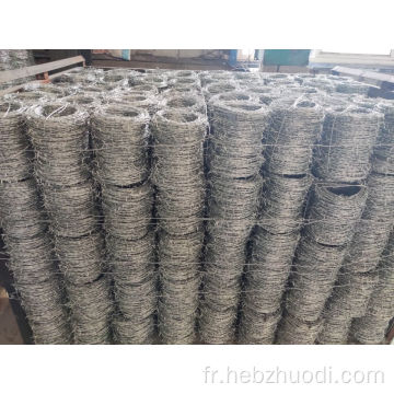 Clôture en mailles de fil galvanisé de haute qualité
